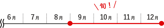 りんごの旬