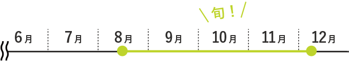 洋梨の旬