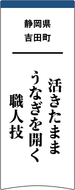静岡県吉田町 活きたままうなぎを開く職人技