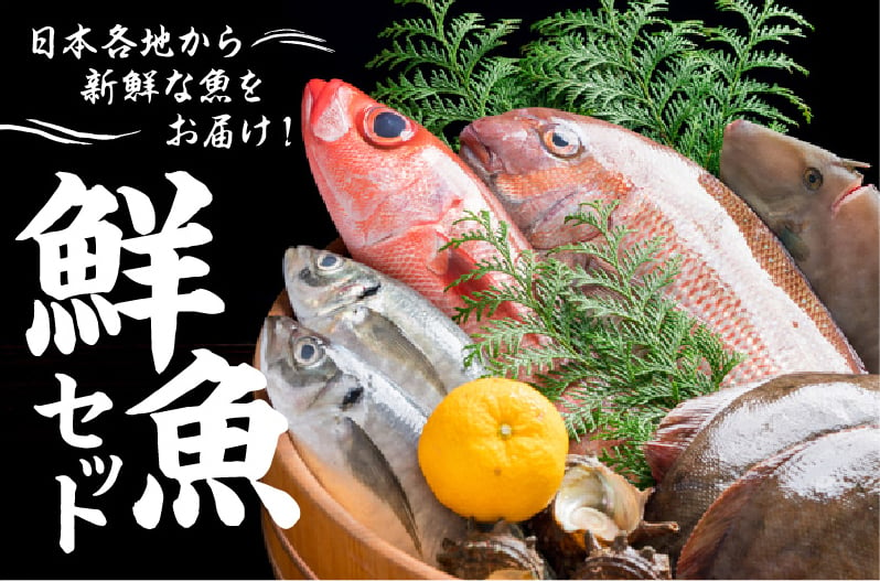 日本各地から新鮮な魚をお届け！ 鮮魚セット｜ふるさとチョイス - ふるさと納税サイト