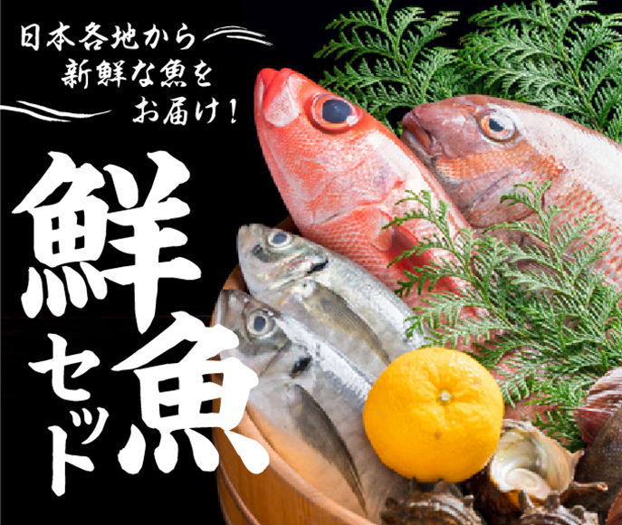 日本各地から新鮮な魚をお届け 鮮魚セット ふるさと納税 ふるさとチョイス