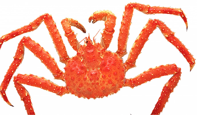 豪華に楽しむ冬の味覚 カニ ふるさと納税 ふるさとチョイス