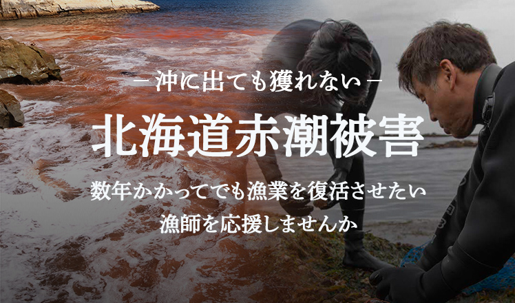 沖に出ても獲れない 北海道赤潮被害 数年かかってでも漁業を復活させたい漁師を応援しませんか