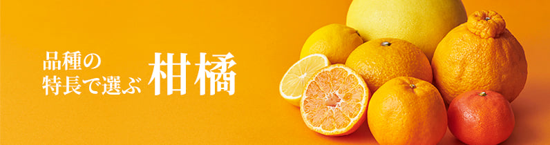 品種の特長で選ぶ 柑橘6品種