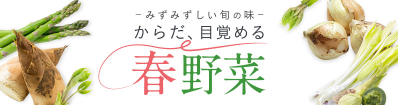 70以上 佐 野菜 見 出身