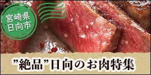 宮崎県日向市