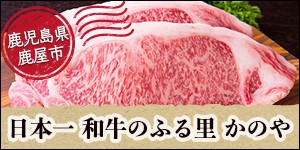 鹿児島県鹿屋市