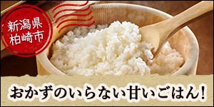 新潟県柏崎市