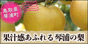 鳥取県琴浦町