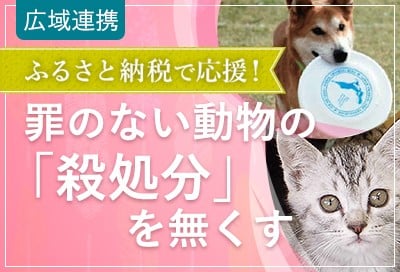 ふるさと納税で罪のない動物たちの殺処分を無くす活動を応援して「人と動物の共生する日本」を実現したい！