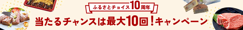ふるさとチョイス10周年 当たるチャンスは最大10回！キャンペーン