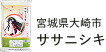 宮城県大崎市 ササニシキ
