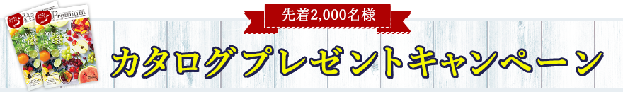 カタログ