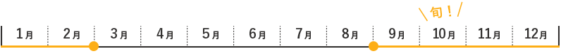 みかんの旬