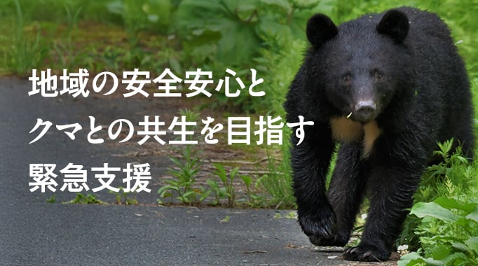 地域の安全安心とクマの未来を守る緊急支援