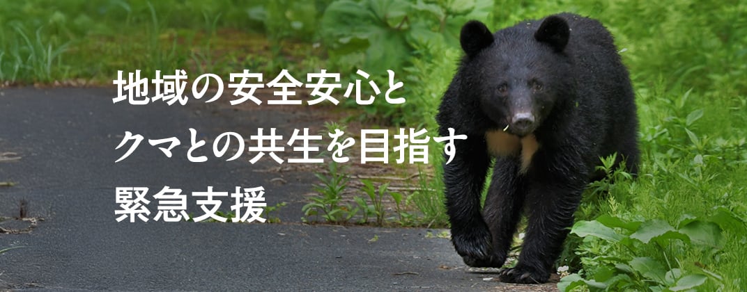 地域の安全安心とクマとの共生を目指す緊急支援