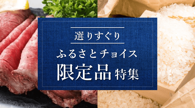 選りすぐりの「ふるさとチョイス限定品」特集