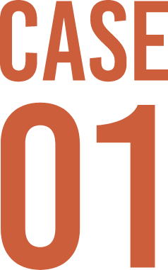 Case 01