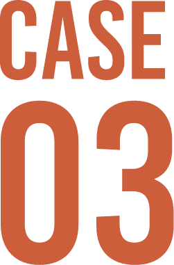 Case03