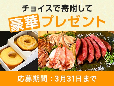 寄附金額に応じて当たる！チョイスで寄附して豪華プレゼントを当てようキャンペーン