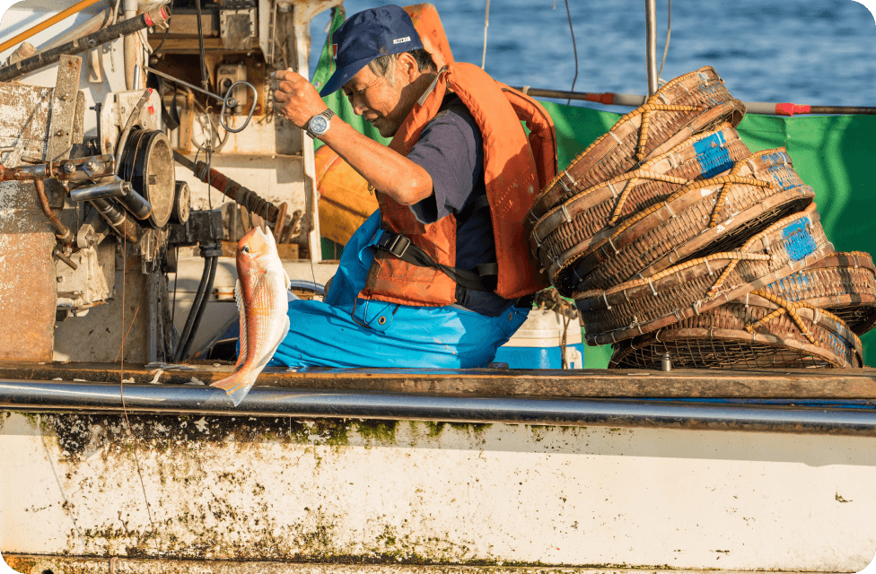 一尾ずつ、釣り針で釣り上げる「はえなわ漁」