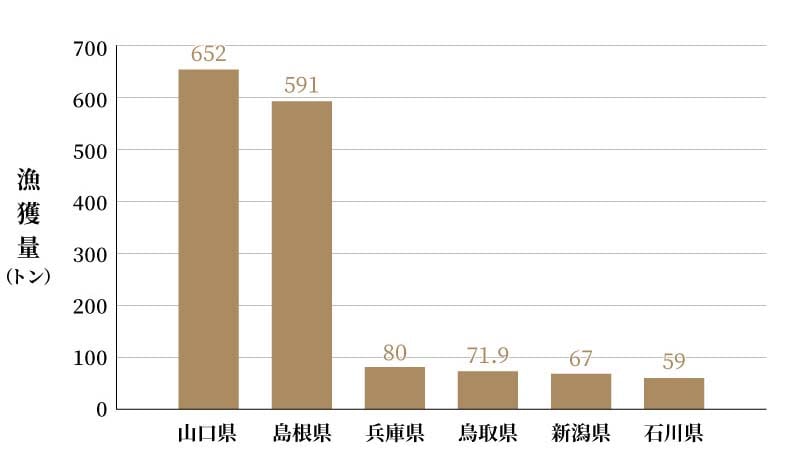 ノドグロ（アカムツ）の都道府県別漁獲量（2019年）