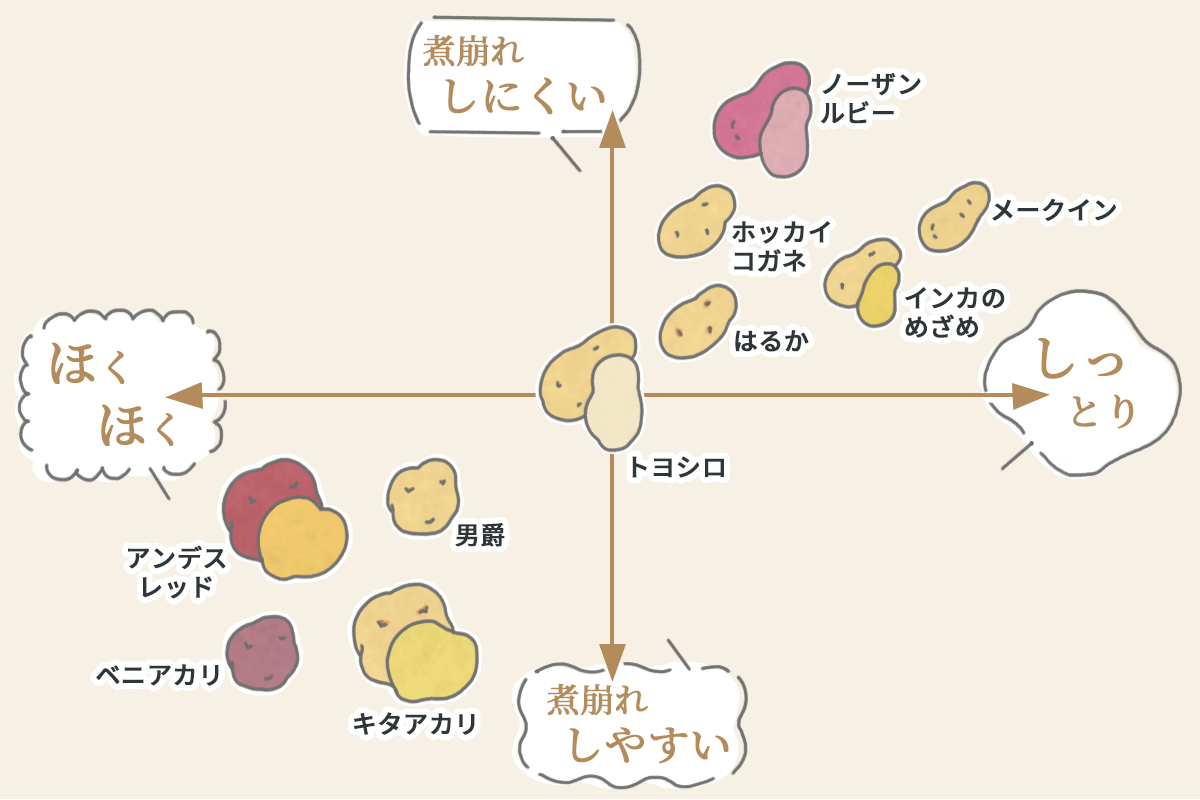 じゃがいもの種類ごとの特徴