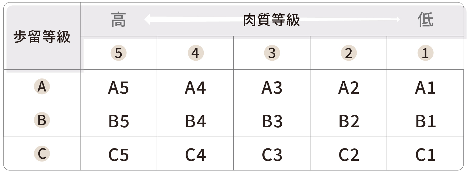 牛肉の格付け規格