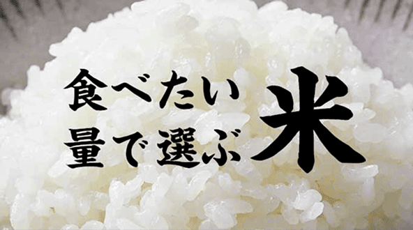 日本の主食