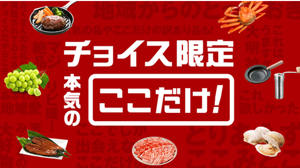 ふるさとチョイス限定品