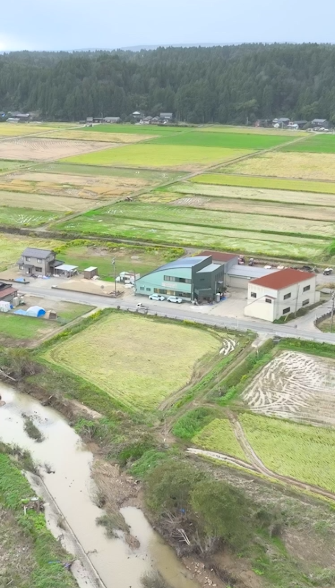 能登の今 能登半島地震から1年|ふるさとチョイス - ふるさと 能登の今 能登半島地震から1年|ふるさとチョイス - ふるさと