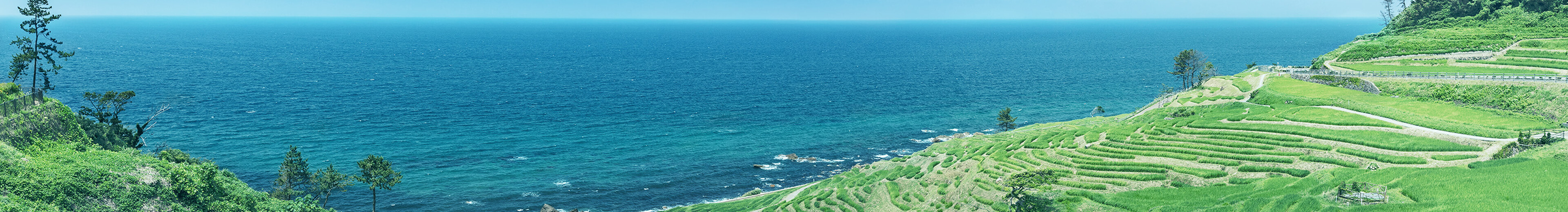 石川県輪島市 「輪島らしい復興のかたち」