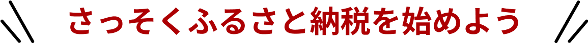 さっそくふるさと納税を始めよう