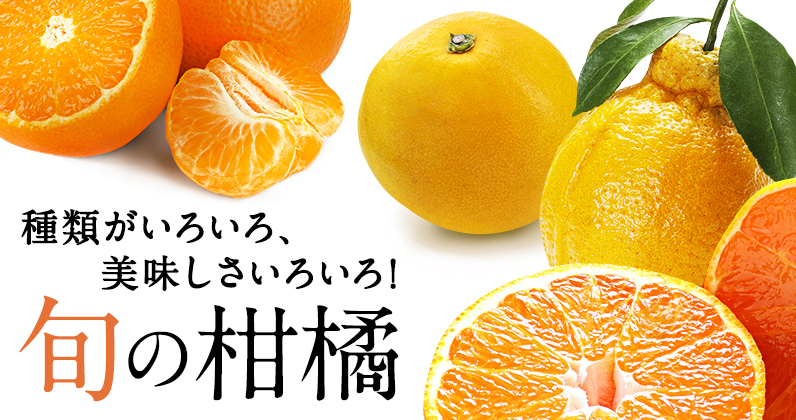 お歳暮特集 のし付き・別送対応可