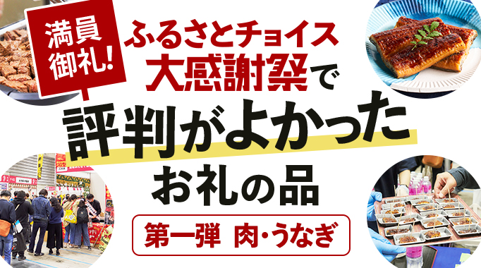 満員御礼！ふるさとチョイス大感謝祭で評判がよかったお礼の品　第一弾　肉・うなぎ