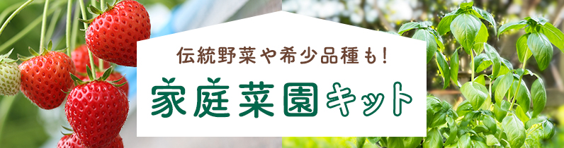 伝統野菜や希少品種も！家庭菜園キット