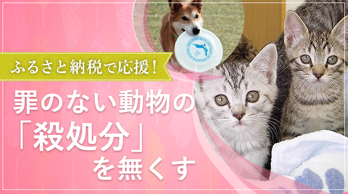 ふるさと納税で応援！罪のない動物の「殺処分」を無くす