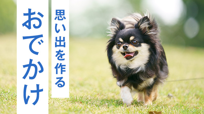 思い出を作るおでかけ