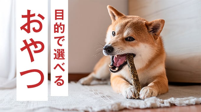 目的で選べるおやつ