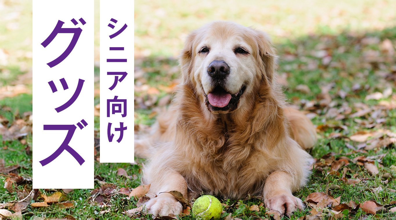 シニア向けグッズ