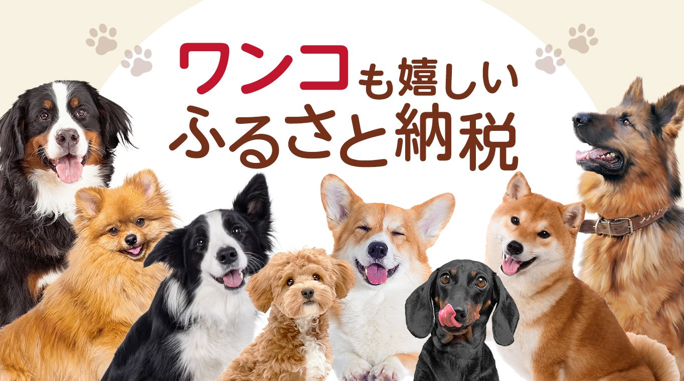 ワンコも嬉しいふるさと納税