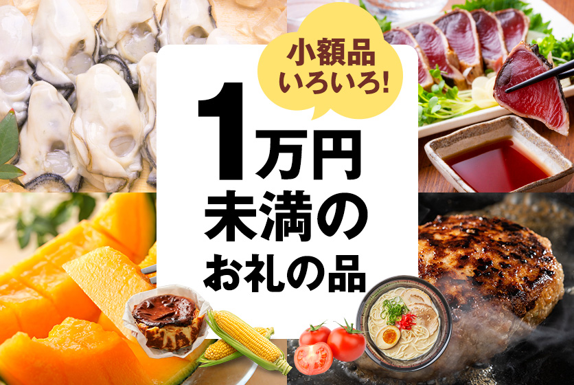 小額品いろいろ！ 1万円未満のお礼の品