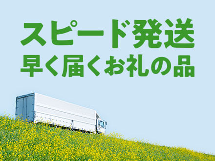 7日以内に発送！「届くのが早い」お礼の品