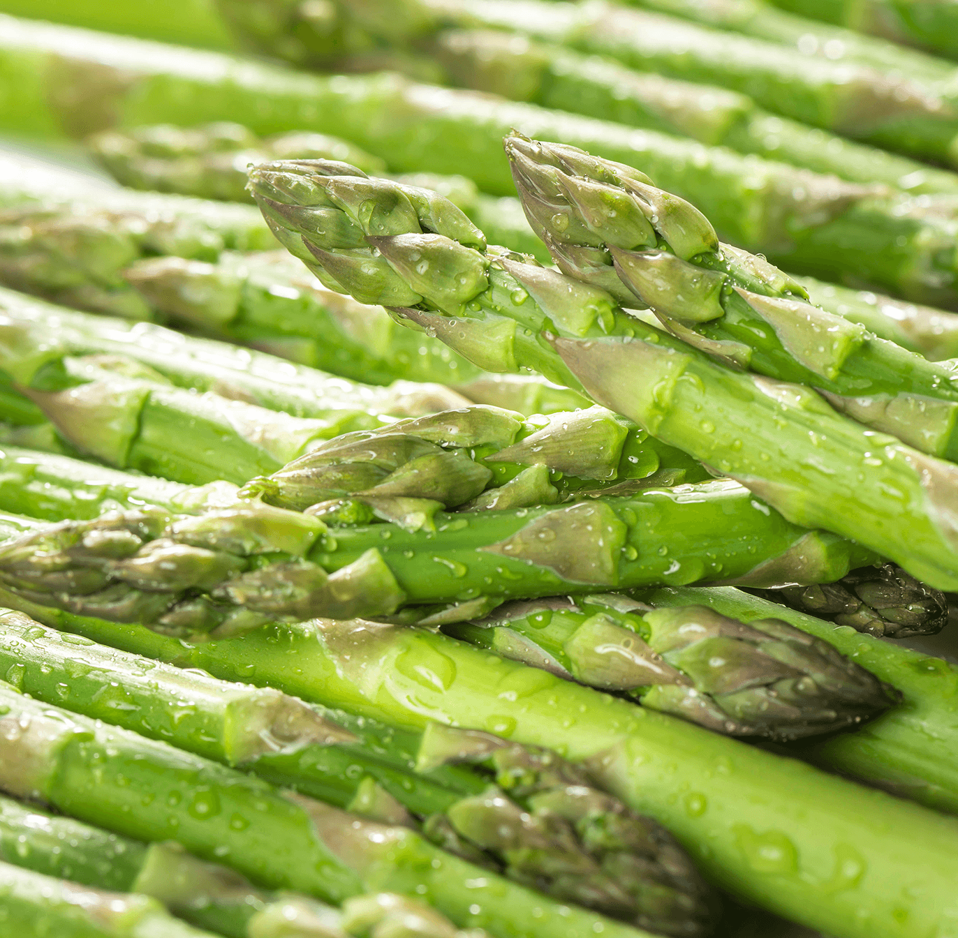 アスパラガス