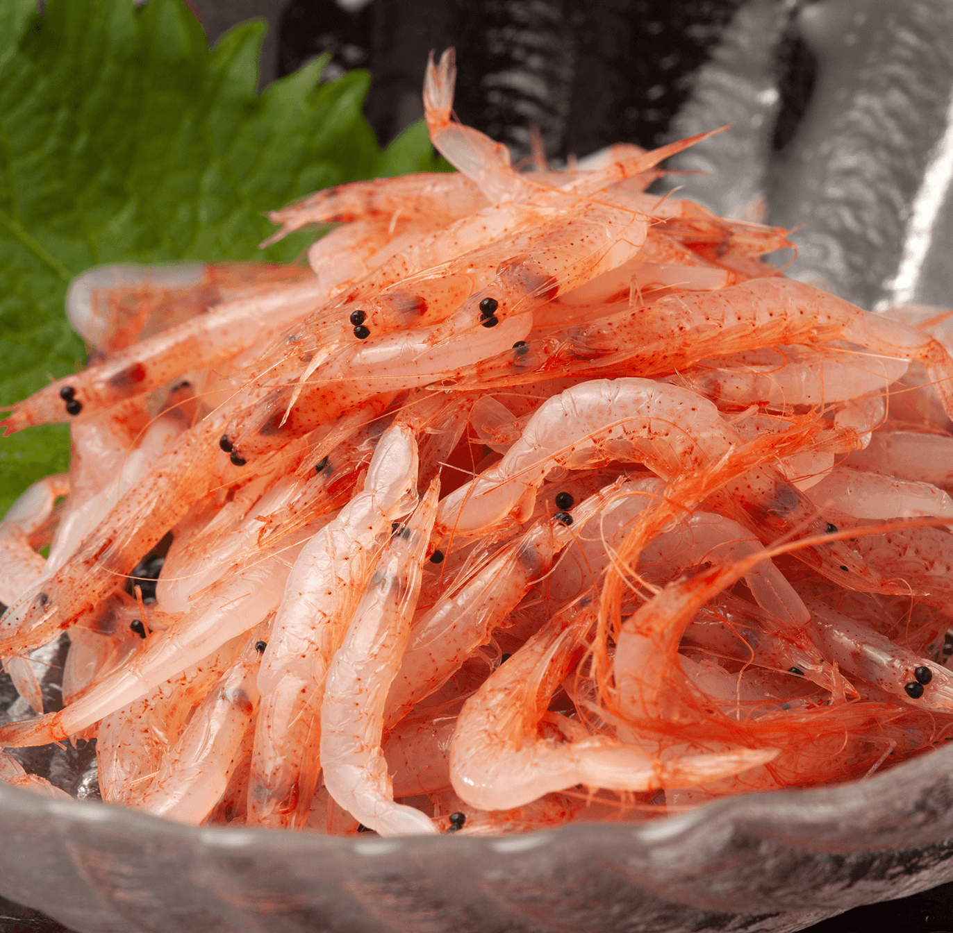 しらす・桜えび