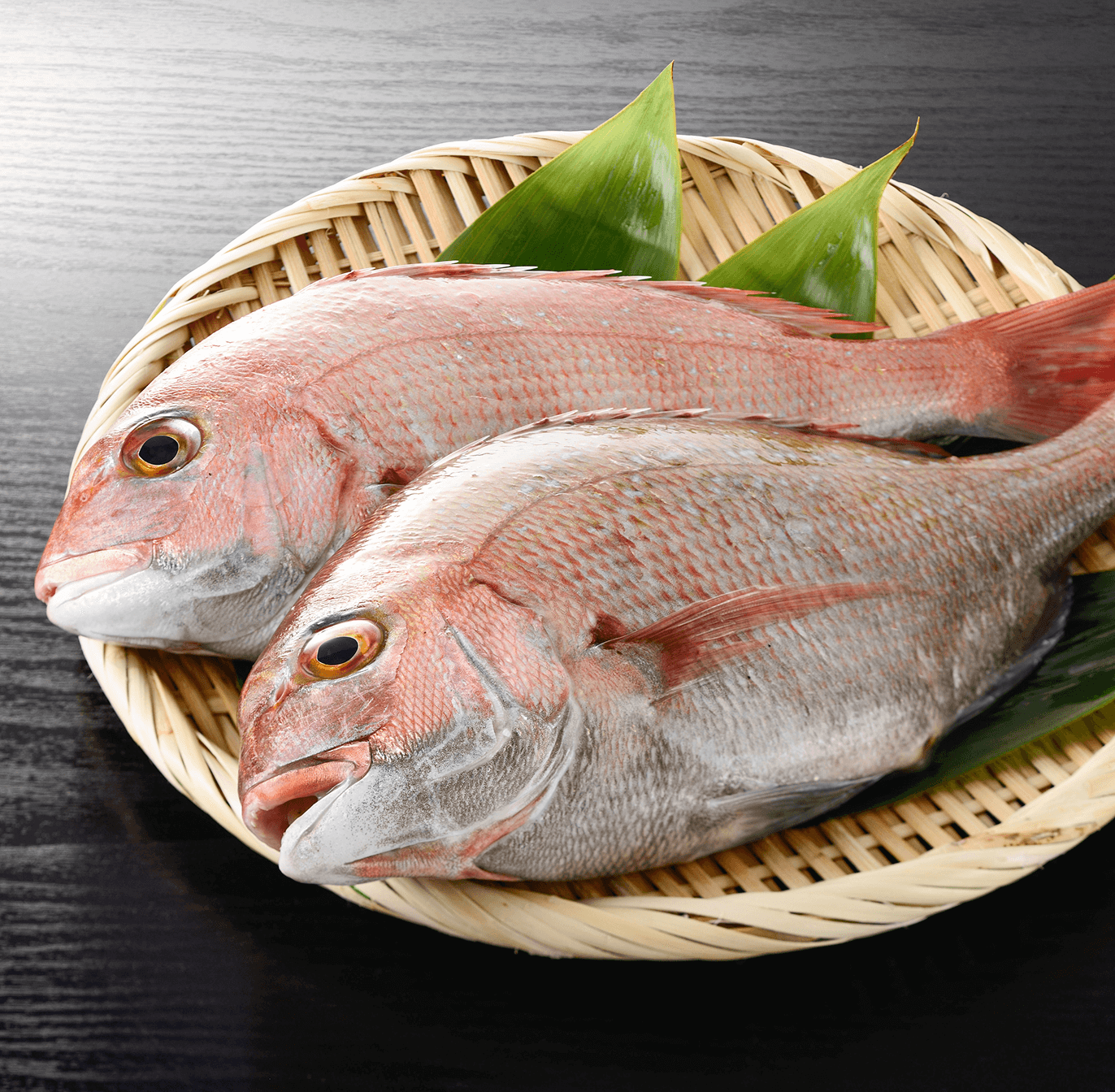 真鯛（まだい）