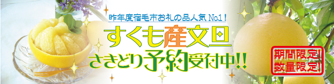 文旦さきどり予約