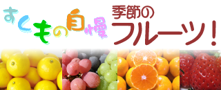 フルーツ特集