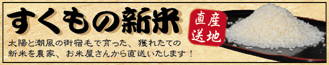 新米