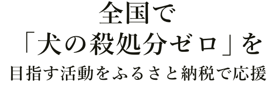 広島県 神石高原町 ひろしまけん じんせきこうげんちょう ふるさと納税 ふるさとチョイス